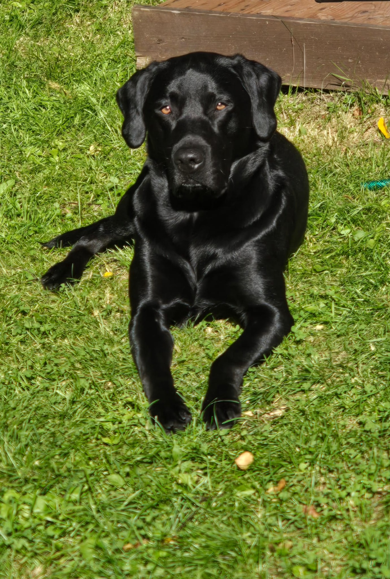 Piki